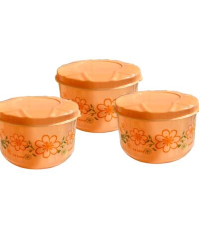 Food Storage / Lunch Box Plastic Set of 3